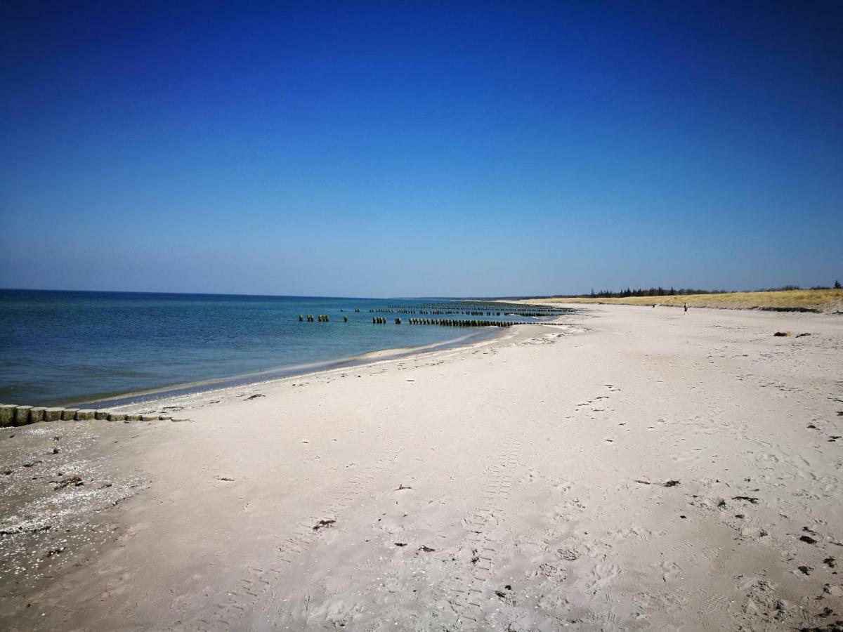 Darsser Strandgut - Haus Ahrenshooper Holz Zewnętrze zdjęcie