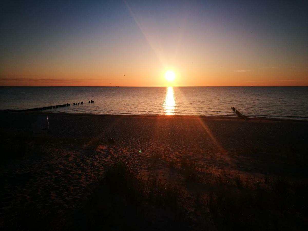 Darsser Strandgut - Haus Ahrenshooper Holz Zewnętrze zdjęcie