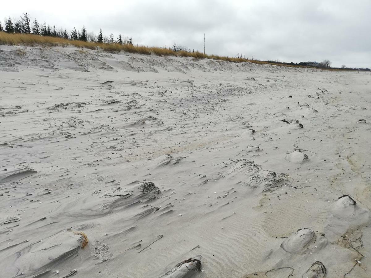 Darsser Strandgut - Haus Ahrenshooper Holz Zewnętrze zdjęcie