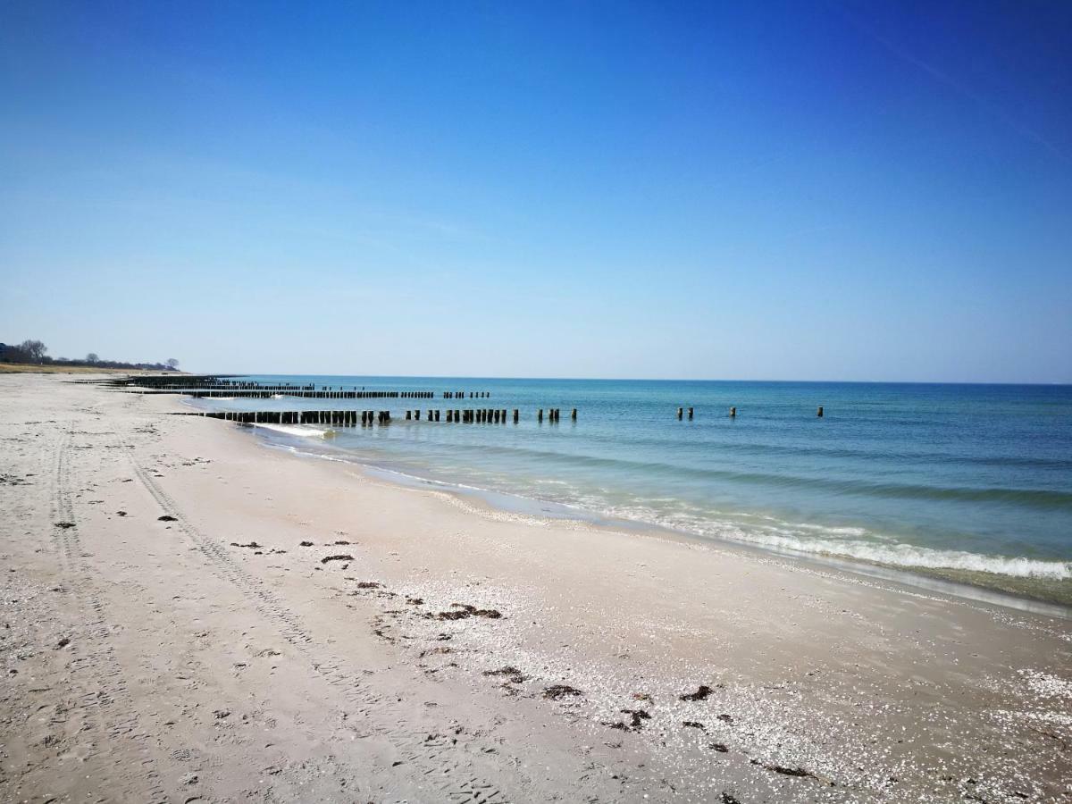 Darsser Strandgut - Haus Ahrenshooper Holz Zewnętrze zdjęcie